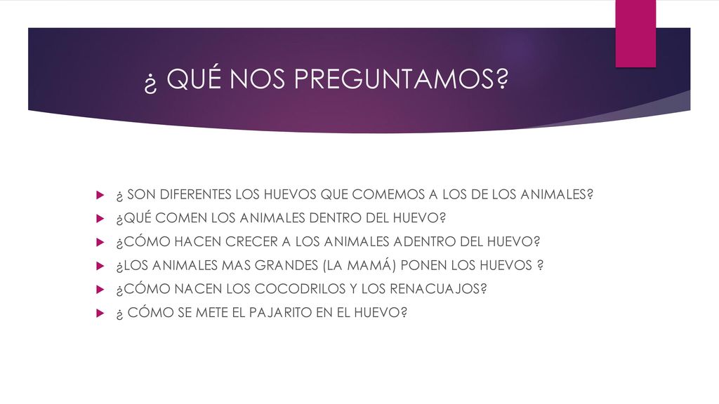 ¿ QUÉ NOS PREGUNTAMOS ¿ SON DIFERENTES LOS HUEVOS QUE COMEMOS A LOS DE LOS ANIMALES ¿QUÉ COMEN LOS ANIMALES DENTRO DEL HUEVO