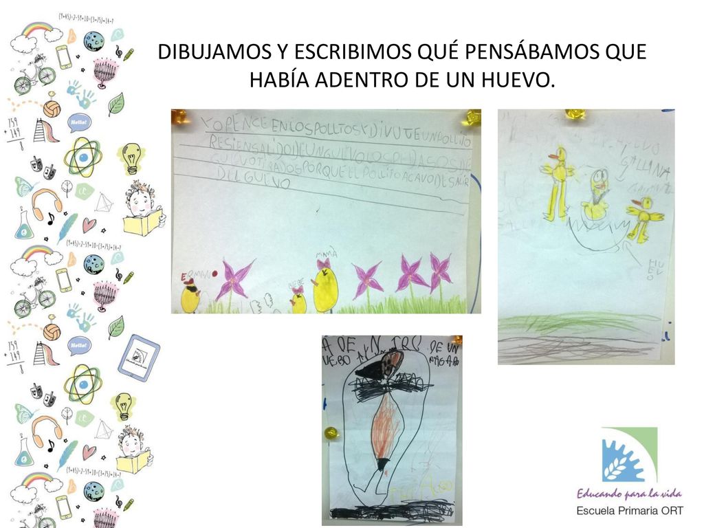 DIBUJAMOS Y ESCRIBIMOS QUÉ PENSÁBAMOS QUE HABÍA ADENTRO DE UN HUEVO.