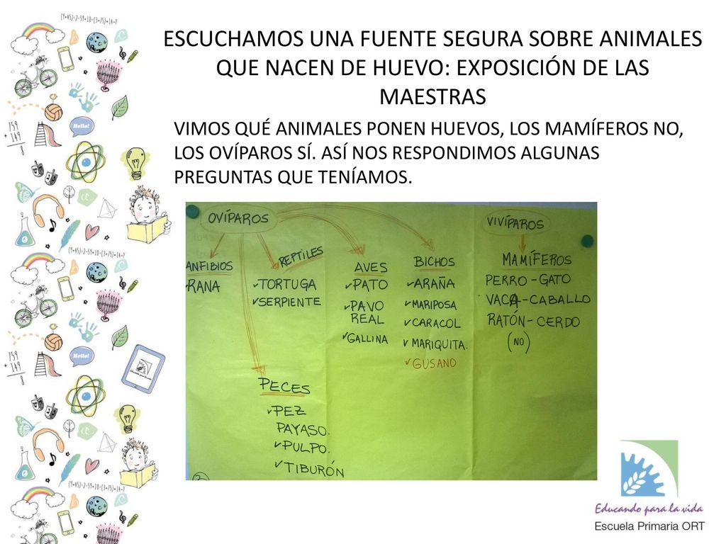 ESCUCHAMOS UNA FUENTE SEGURA SOBRE ANIMALES QUE NACEN DE HUEVO: EXPOSICIÓN DE LAS MAESTRAS