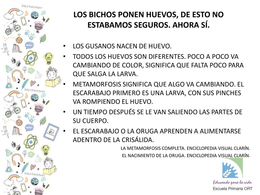 LOS BICHOS PONEN HUEVOS, DE ESTO NO ESTABAMOS SEGUROS. AHORA SÍ.