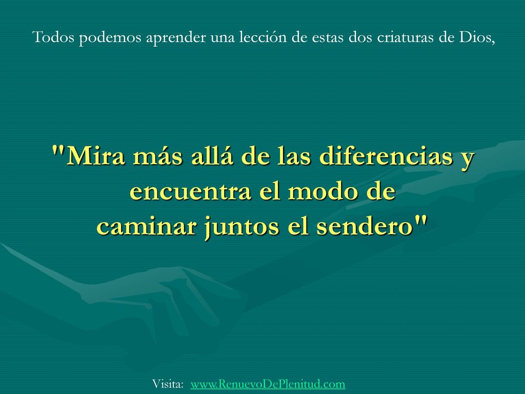 Todos podemos aprender una lección de estas dos criaturas de Dios,