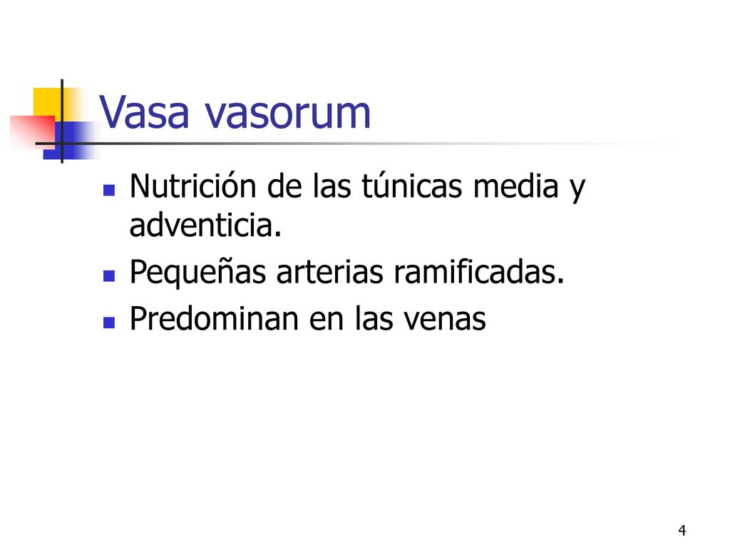 Vasa vasorum Nutrición de las túnicas media y adventicia.
