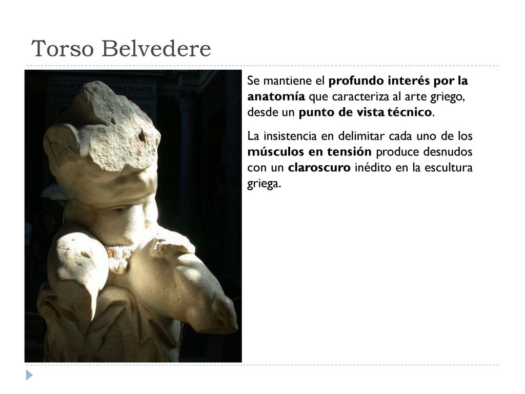 Torso Belvedere Se mantiene el profundo interés por la anatomía que caracteriza al arte griego, desde un punto de vista técnico.