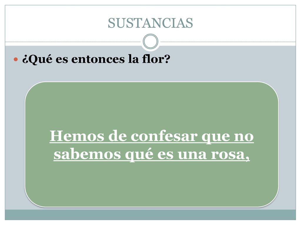 Hemos de confesar que no sabemos qué es una rosa,