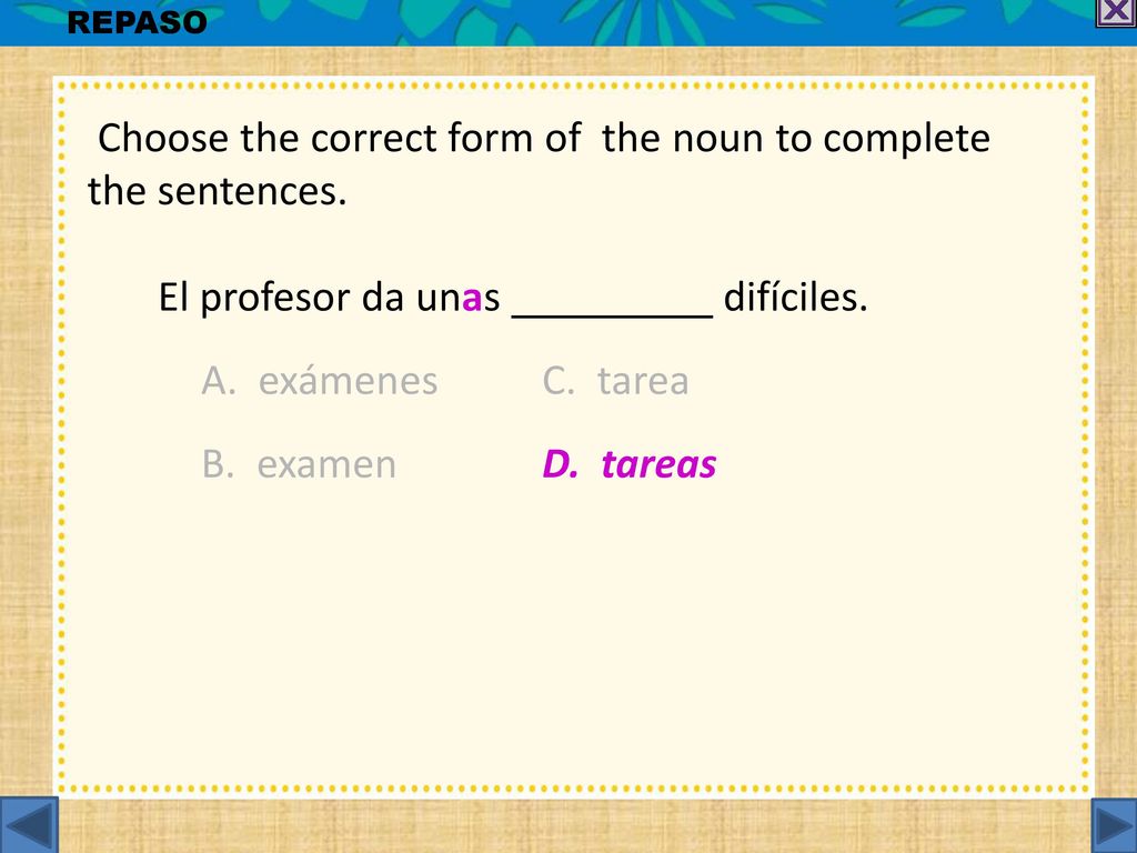 Choose the correct form of the noun to complete the sentences.