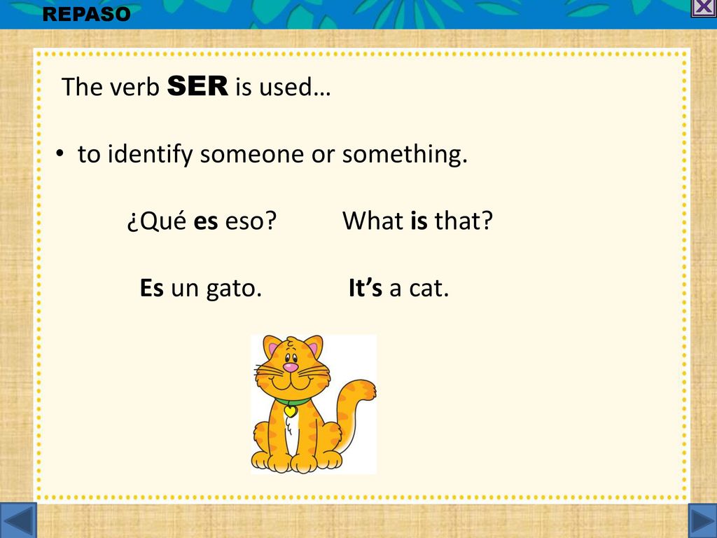 to identify someone or something. ¿Qué es eso What is that