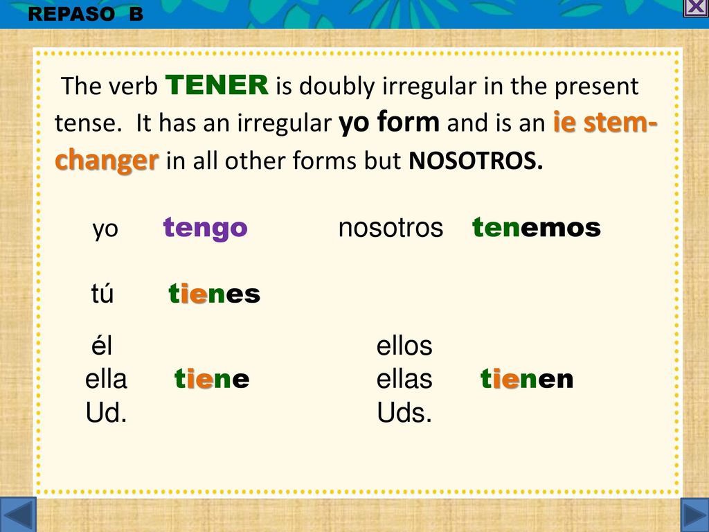 yo tengo nosotros tenemos tú tienes él ellos ella tiene ellas tienen