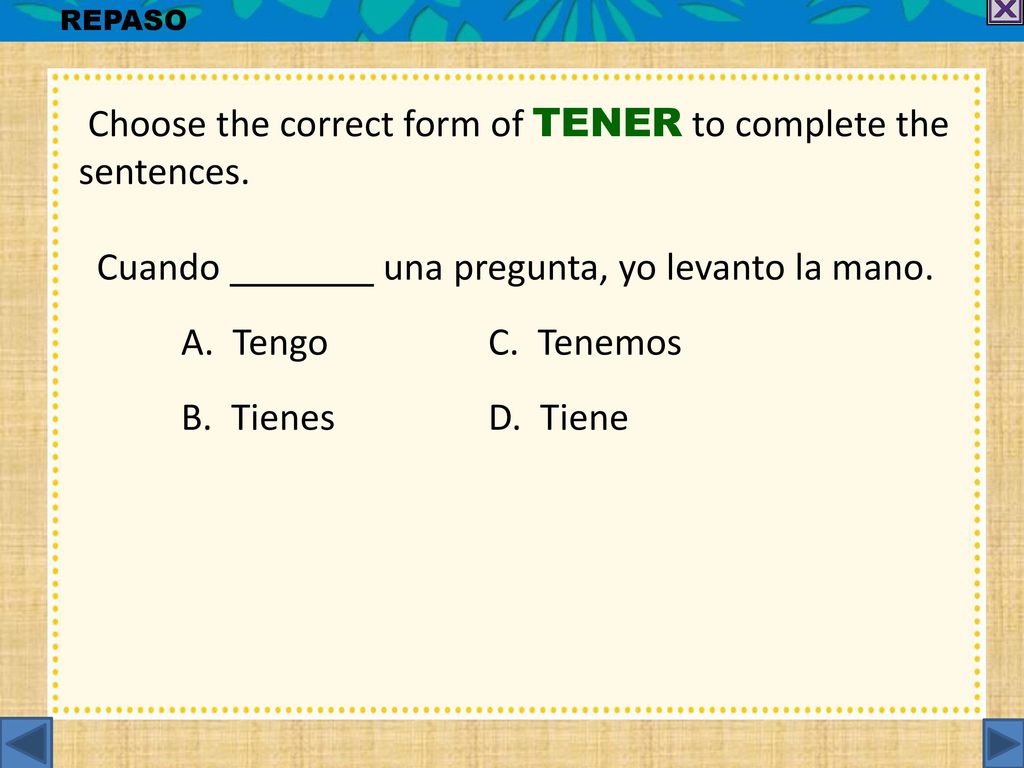 Choose the correct form of TENER to complete the sentences.