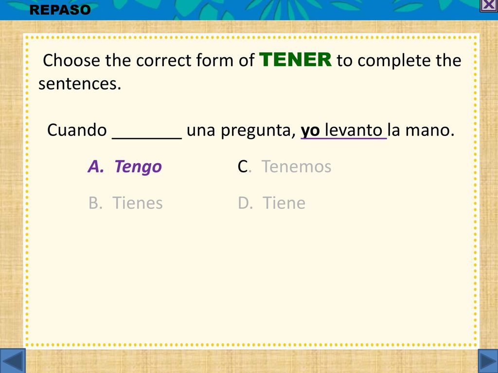 Choose the correct form of TENER to complete the sentences.