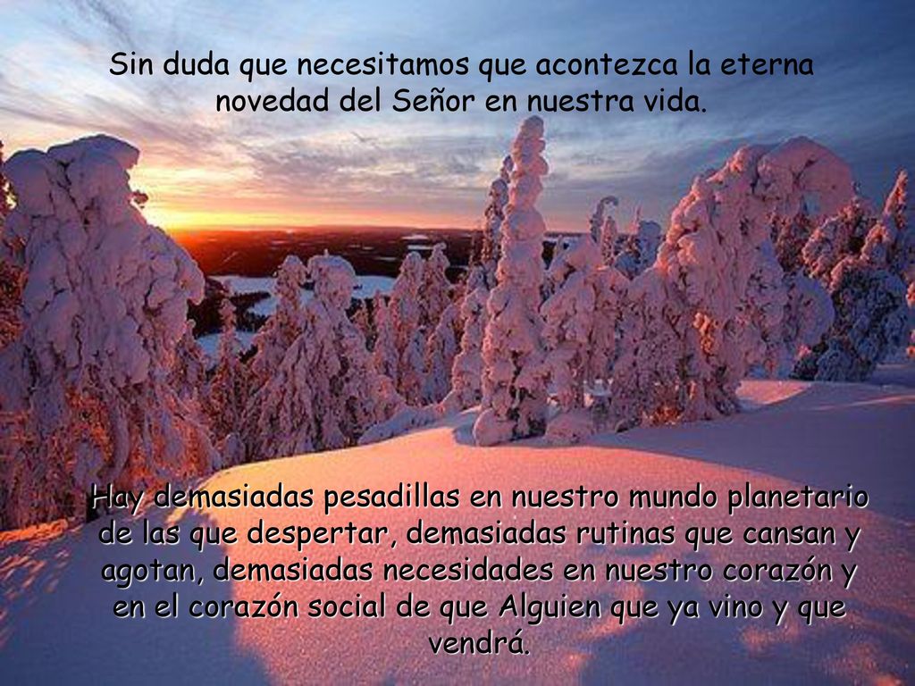 Sin duda que necesitamos que acontezca la eterna novedad del Señor en nuestra vida.
