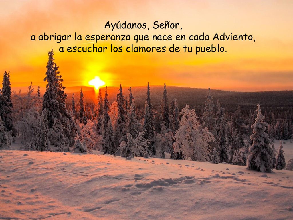Ayúdanos, Señor, a abrigar la esperanza que nace en cada Adviento, a escuchar los clamores de tu pueblo.