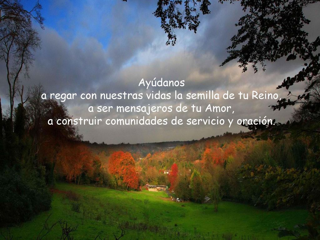 Ayúdanos a regar con nuestras vidas la semilla de tu Reino, a ser mensajeros de tu Amor, a construir comunidades de servicio y oración.
