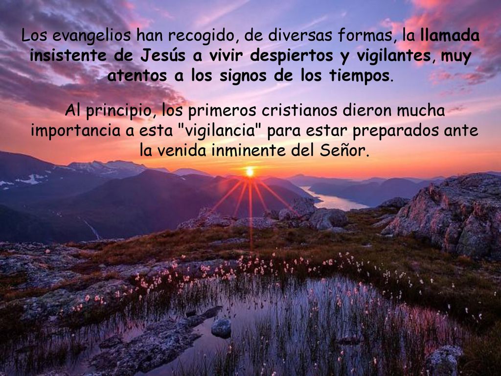 Los evangelios han recogido, de diversas formas, la llamada insistente de Jesús a vivir despiertos y vigilantes, muy atentos a los signos de los tiempos.