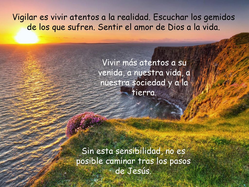 Sin esta sensibilidad, no es posible caminar tras los pasos de Jesús.