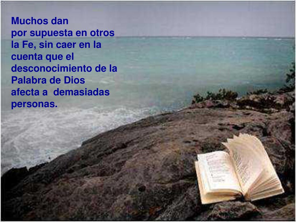 Muchos dan por supuesta en otros la Fe, sin caer en la. cuenta que el desconocimiento de la Palabra de Dios.