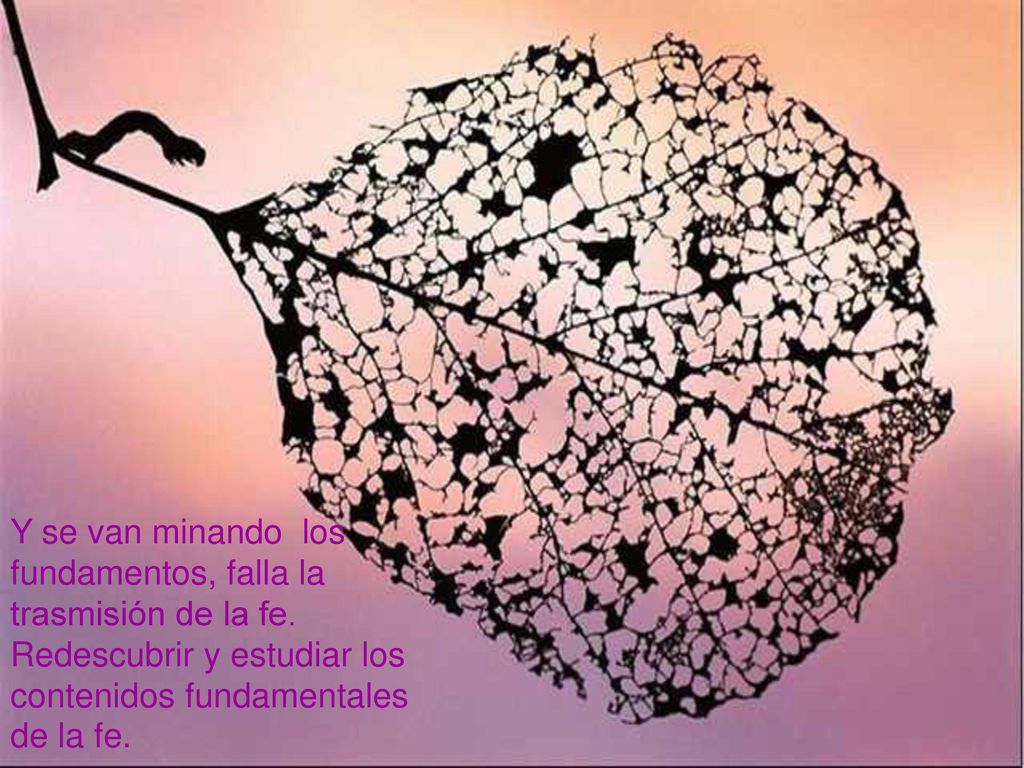 Y se van minando los fundamentos, falla la trasmisión de la fe