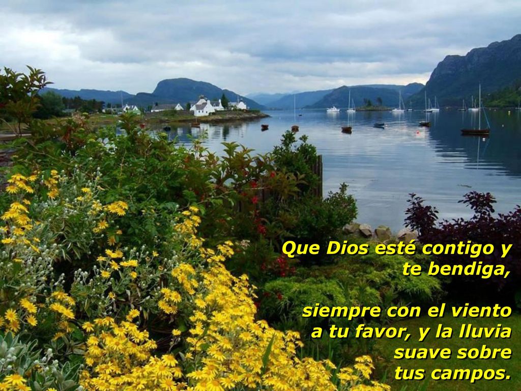 Que Dios esté contigo y te bendiga, siempre con el viento. a tu favor, y la lluvia. suave sobre.