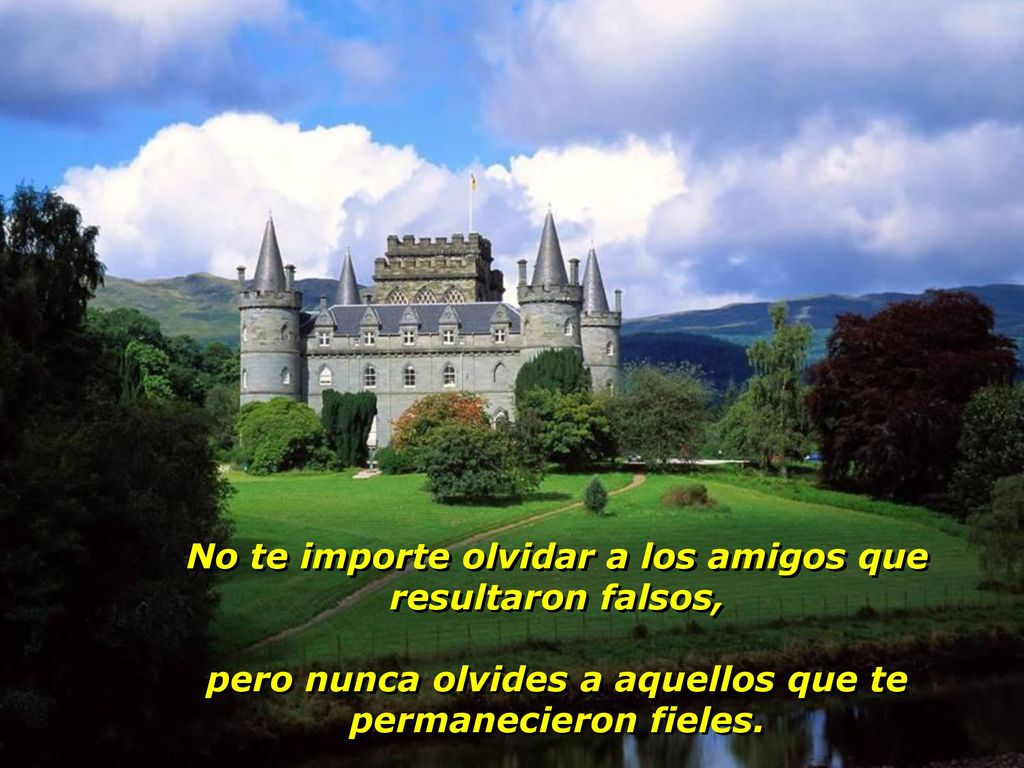 No te importe olvidar a los amigos que resultaron falsos,