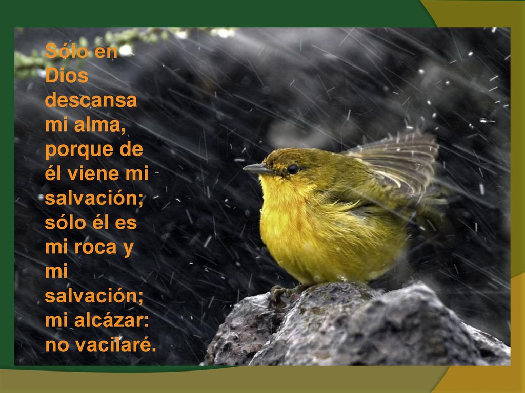 Sólo en Dios descansa mi alma, porque de él viene mi salvación; sólo él es mi roca y mi salvación; mi alcázar: no vacilaré.