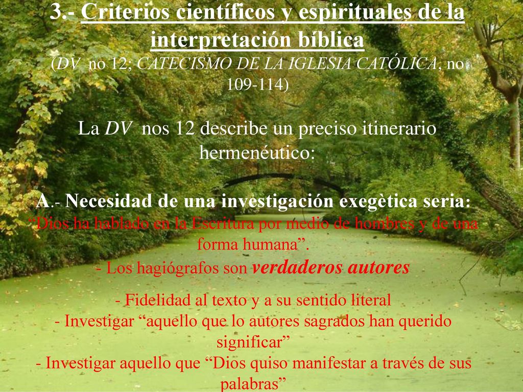 3.- Criterios científicos y espirituales de la interpretación bíblica (DV no 12; CATECISMO DE LA IGLESIA CATÓLICA, no ) La DV nos 12 describe un preciso itinerario hermenéutico: