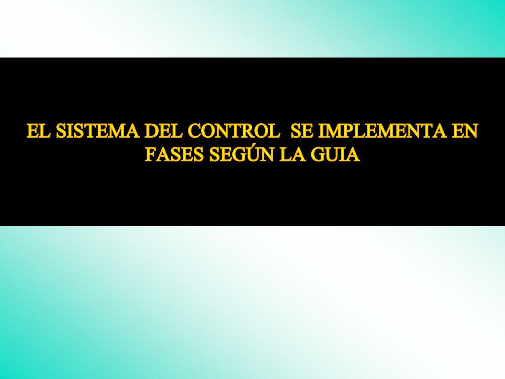 EL SISTEMA DEL CONTROL SE IMPLEMENTA EN FASES SEGÚN LA GUIA