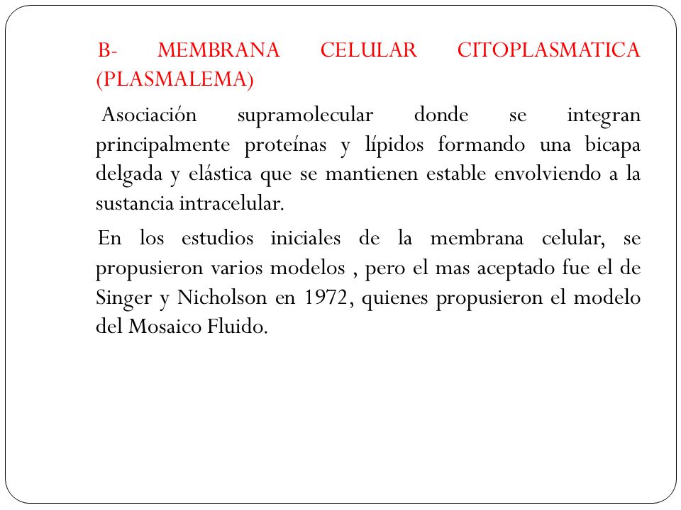 B- MEMBRANA CELULAR CITOPLASMATICA (PLASMALEMA) Asociación supramolecular donde se integran principalmente proteínas y lípidos formando una bicapa delgada y elástica que se mantienen estable envolviendo a la sustancia intracelular.