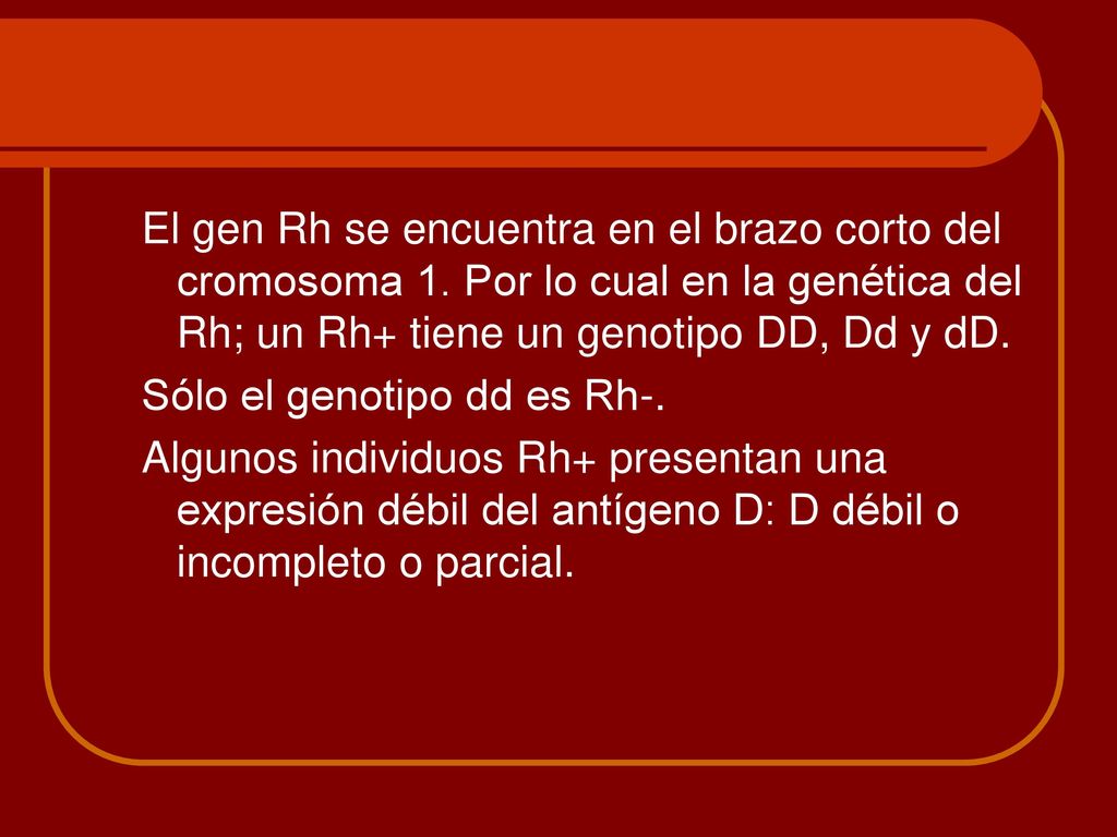 El gen Rh se encuentra en el brazo corto del cromosoma 1