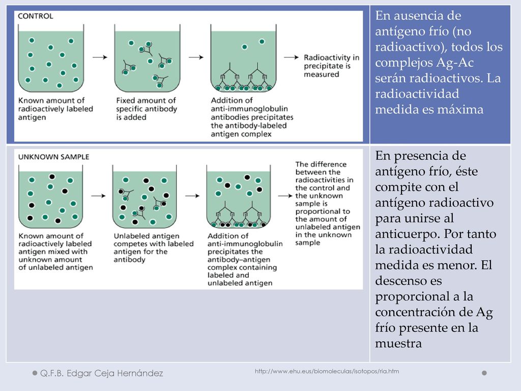 En ausencia de antígeno frío (no radioactivo), todos los complejos Ag-Ac serán radioactivos. La radioactividad medida es máxima