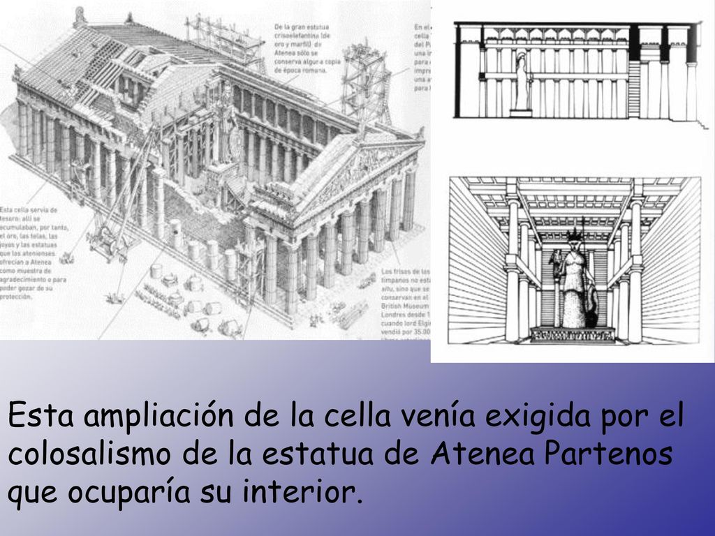 Planta del Partenón Esta ampliación de la cella venía exigida por el colosalismo de la estatua de Atenea Partenos que ocuparía su interior.