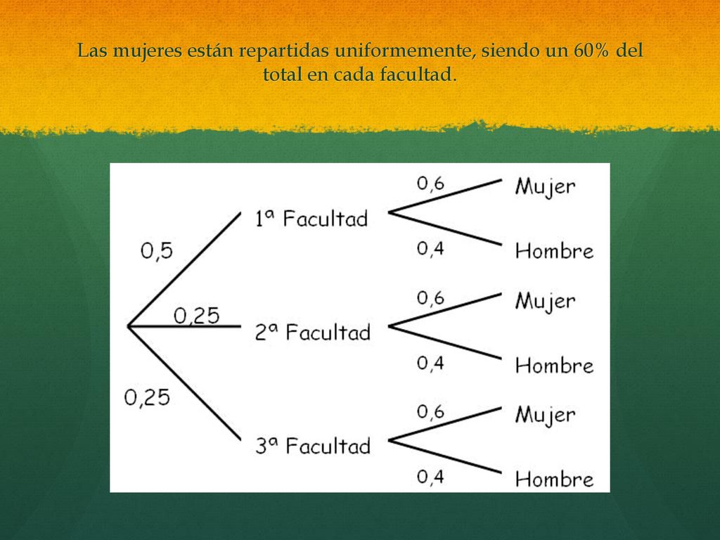 Las mujeres están repartidas uniformemente, siendo un 60% del total en cada facultad.