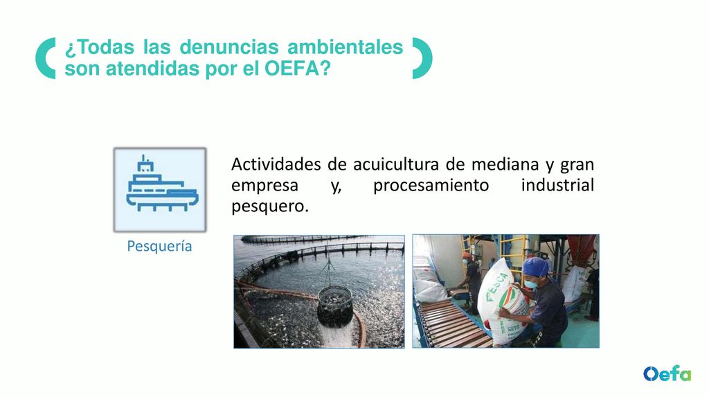 ¿Todas las denuncias ambientales son atendidas por el OEFA