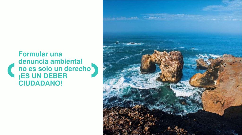 Formular una denuncia ambiental no es solo un derecho