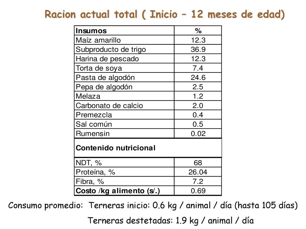 Racion actual total ( Inicio – 12 meses de edad)