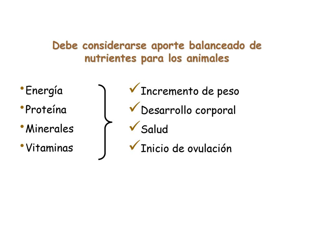 Debe considerarse aporte balanceado de nutrientes para los animales