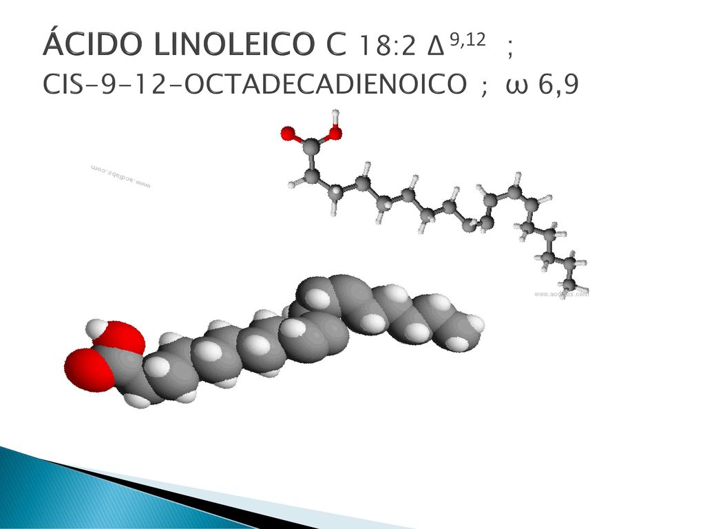 ÁCIDO LINOLEICO C 18:2 Δ 9,12 ; CIS-9-12-OCTADECADIENOICO ; ω 6,9