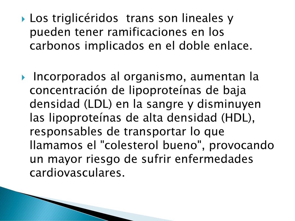 Los triglicéridos trans son lineales y pueden tener ramificaciones en los carbonos implicados en el doble enlace.