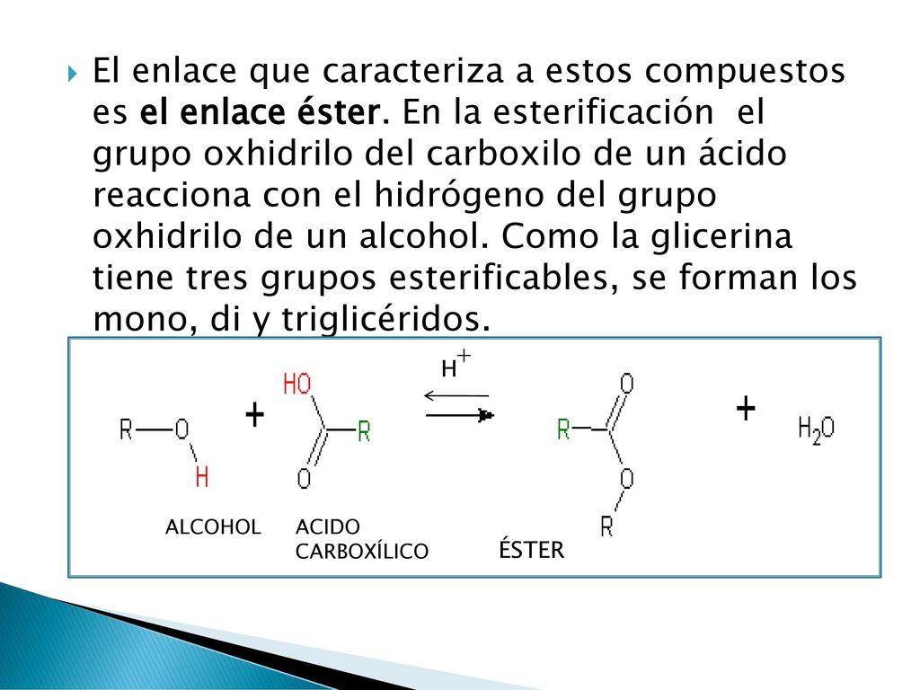 El enlace que caracteriza a estos compuestos es el enlace éster