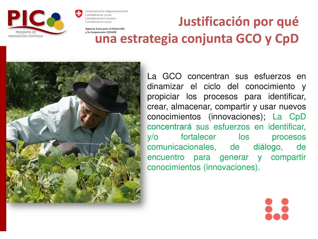 Justificación por qué una estrategia conjunta GCO y CpD