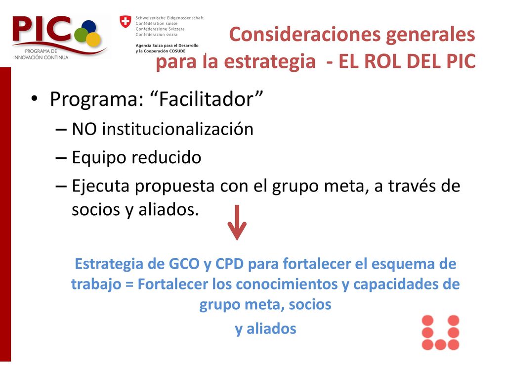Consideraciones generales para la estrategia - EL ROL DEL PIC