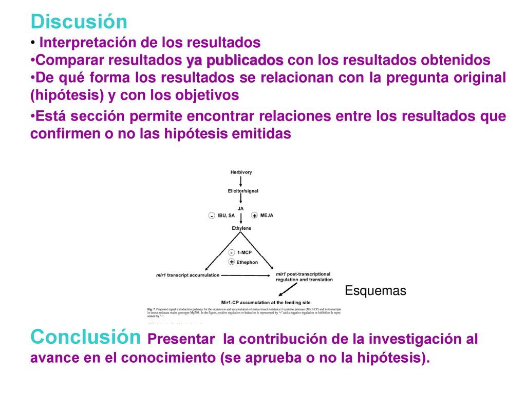 Discusión Interpretación de los resultados. Comparar resultados ya publicados con los resultados obtenidos.