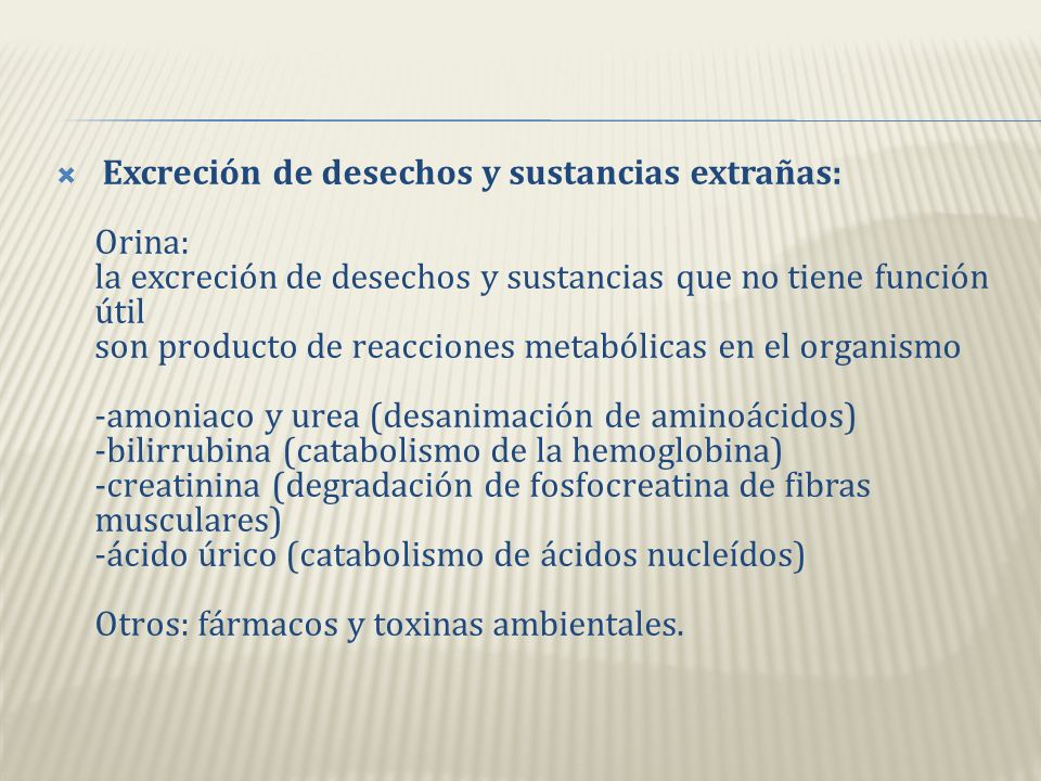 Excreción de desechos y sustancias extrañas: Orina: la excreción de desechos y sustancias que no tiene función útil son producto de reacciones metabólicas en el organismo -amoniaco y urea (desanimación de aminoácidos) -bilirrubina (catabolismo de la hemoglobina) -creatinina (degradación de fosfocreatina de fibras musculares) -ácido úrico (catabolismo de ácidos nucleídos) Otros: fármacos y toxinas ambientales.