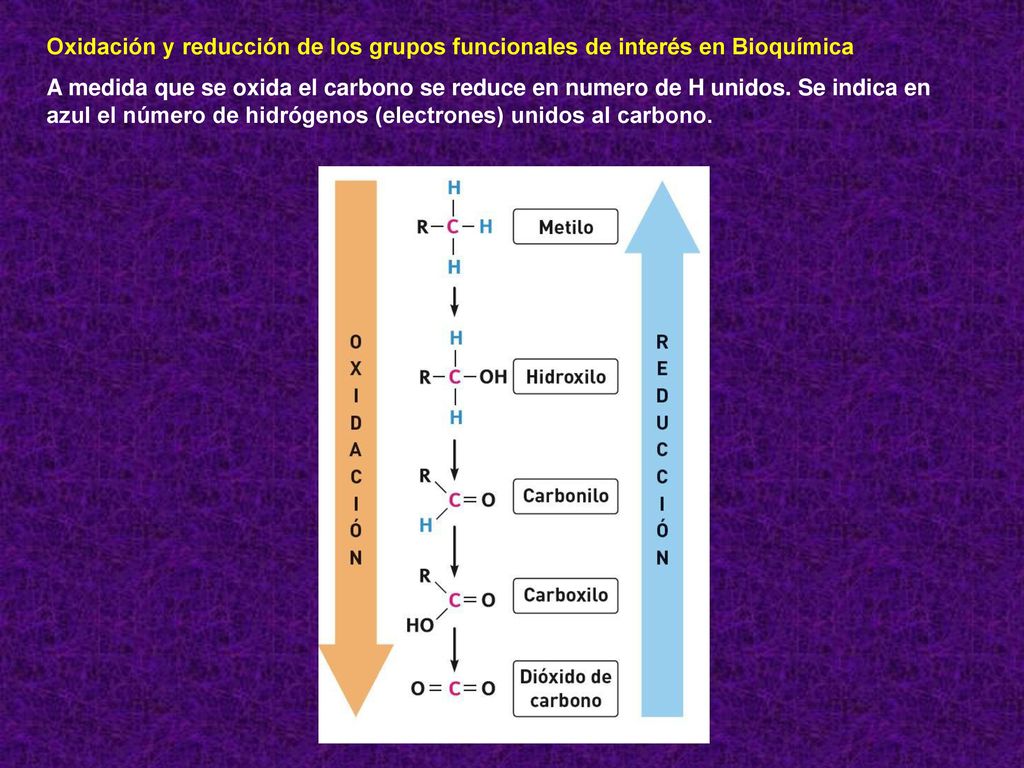 Oxidación y reducción de los grupos funcionales de interés en Bioquímica
