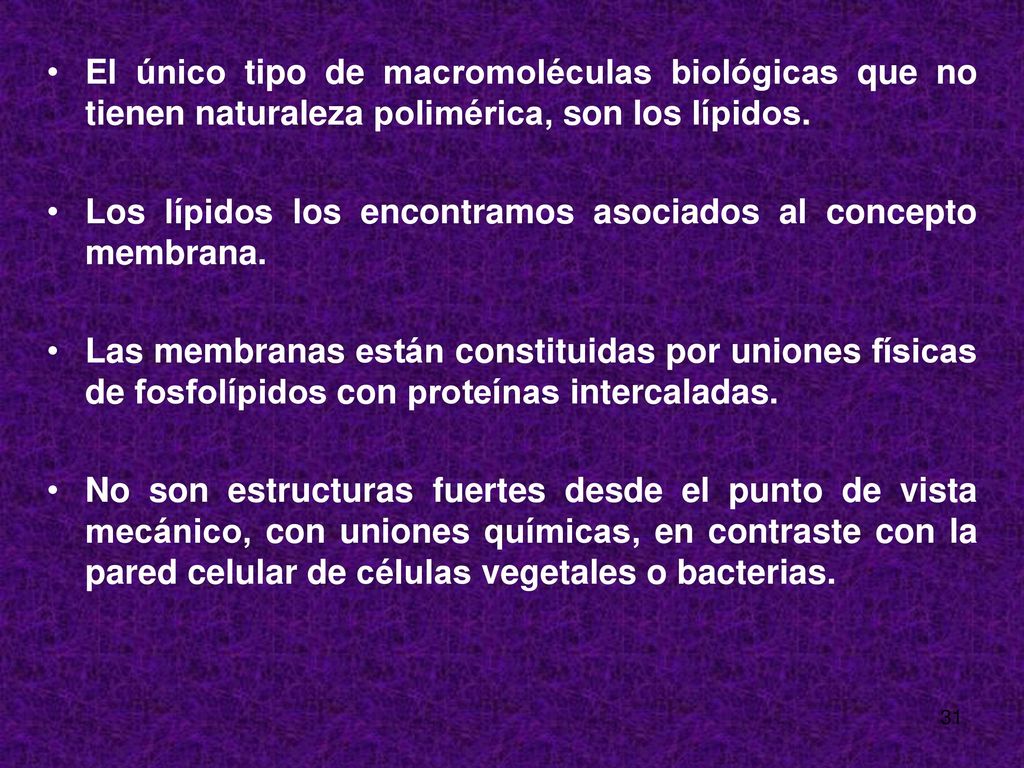 El único tipo de macromoléculas biológicas que no tienen naturaleza polimérica, son los lípidos.