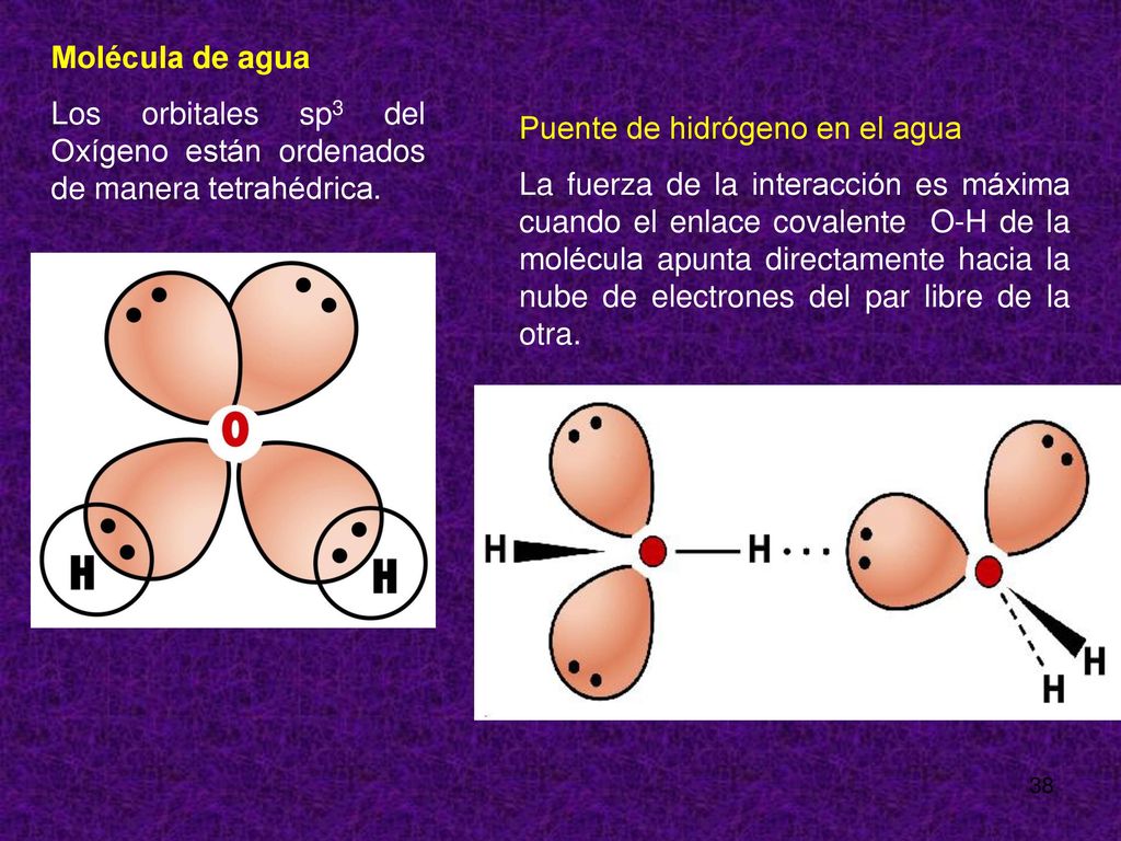 Molécula de agua Los orbitales sp3 del Oxígeno están ordenados de manera tetrahédrica. Puente de hidrógeno en el agua.