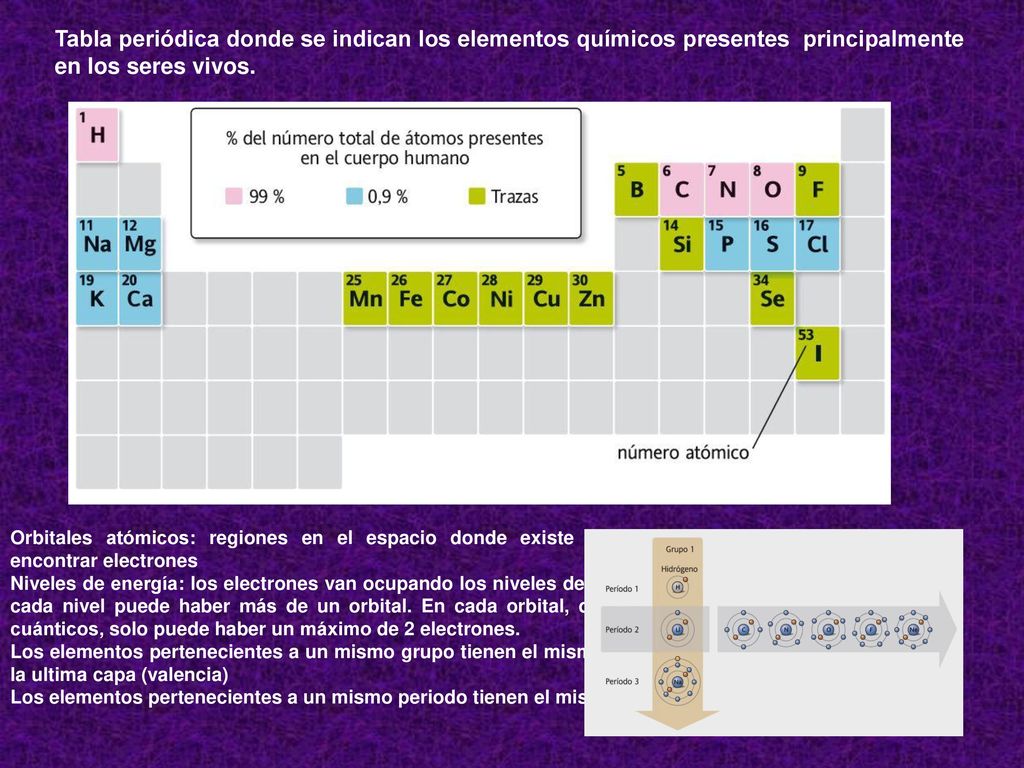 Tabla periódica donde se indican los elementos químicos presentes principalmente en los seres vivos.