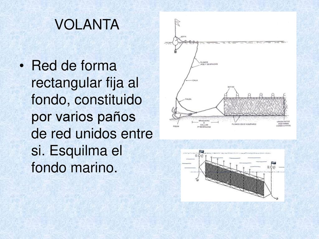 VOLANTA Red de forma rectangular fija al fondo, constituido por varios paños de red unidos entre si.