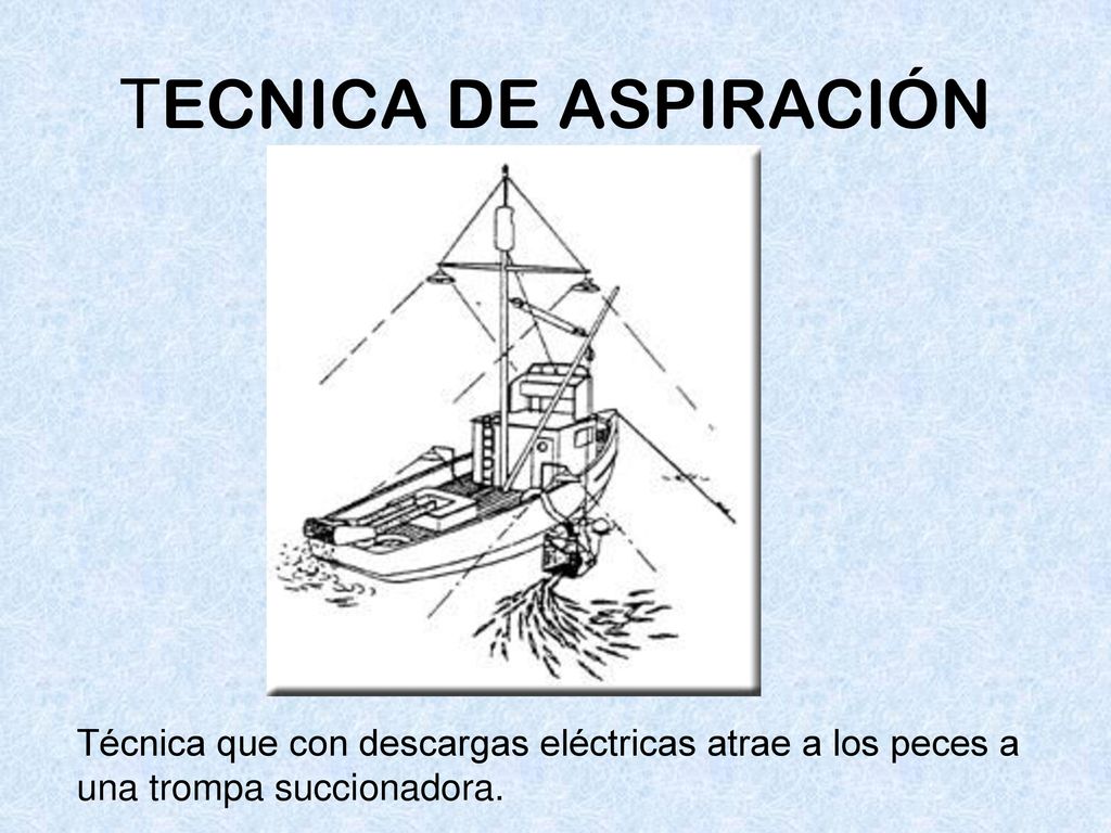 TECNICA DE ASPIRACIÓN Técnica que con descargas eléctricas atrae a los peces a una trompa succionadora.