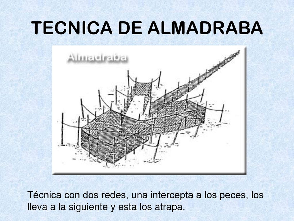 TECNICA DE ALMADRABA Técnica con dos redes, una intercepta a los peces, los lleva a la siguiente y esta los atrapa.
