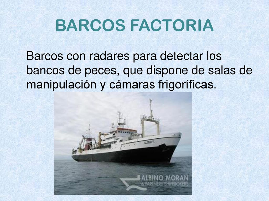 BARCOS FACTORIA Barcos con radares para detectar los bancos de peces, que dispone de salas de manipulación y cámaras frigoríficas.