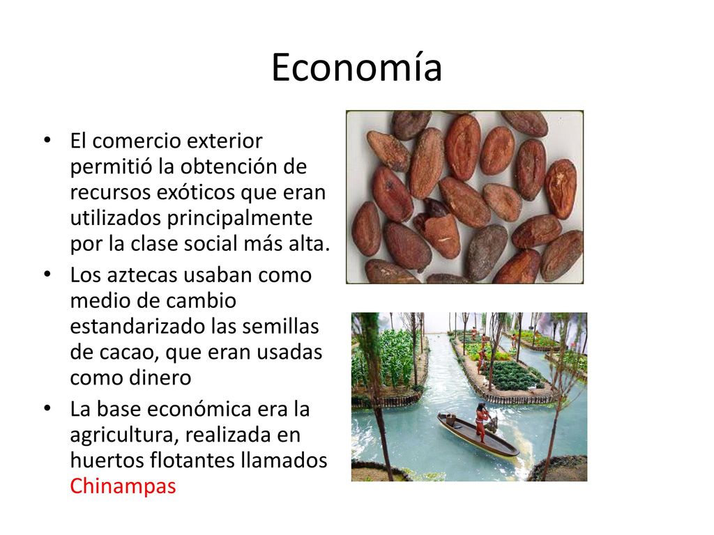 Economía El comercio exterior permitió la obtención de recursos exóticos que eran utilizados principalmente por la clase social más alta.